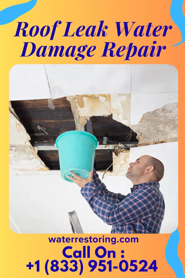 Roof Leak Water Damage Repair in Grass Valley, OR